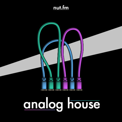analog house
